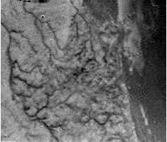 Het oppervlak van Titan, gefotografeerd door Huygens op een hoogte van 16,2 km