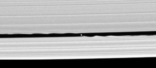 Het nieuwe maantje S/2005S1 veroorzaakt ribbels in het ringenmateriaal van de A-ring. (C) NASA